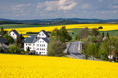 Scenic view of yellow field by buildings against sky