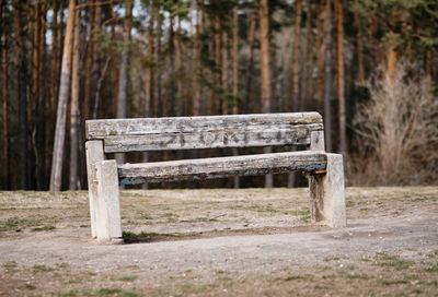 Empty bench in park