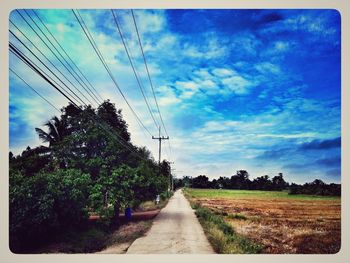 Road amidst plants and trees against sky