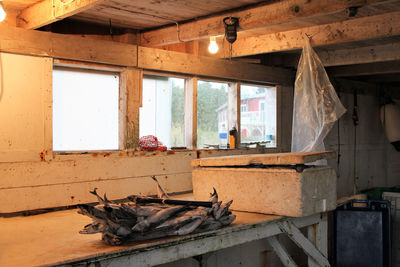 Frozen fish on a table in a shed