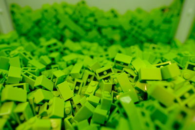High angle view of green leaves on table