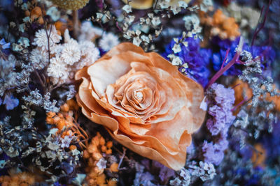 beauty in nature