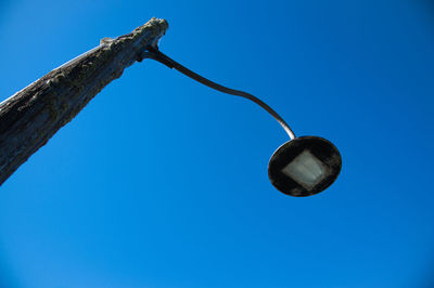 Low angle view of tree against blue sky