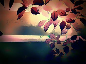 Close-up of leaves on table