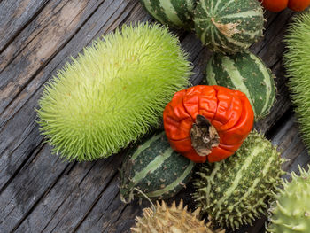 High angle view of fruits growing on wood