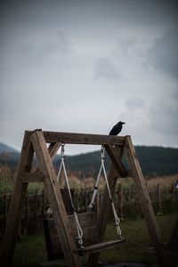 Birds perching on wood