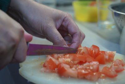 Midsection of person preparing food