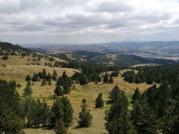 Scenic view of landscape against sky