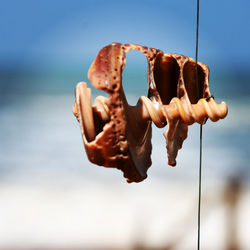 Low angle view of clothes hanging against sky