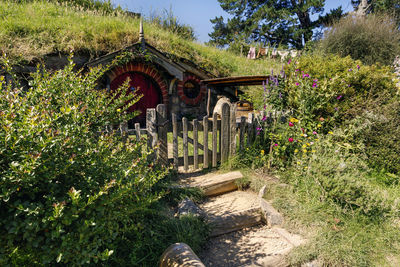 Trees and plants in garden