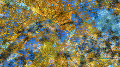 Full frame shot of yellow autumn leaves