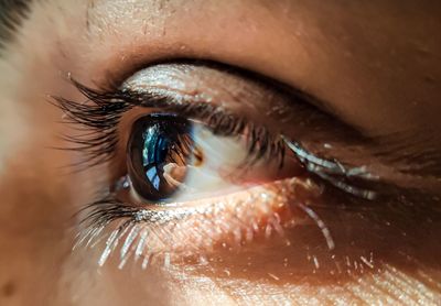 Close-up of woman eye