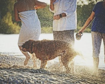 Low section of man playing with dog standing in water