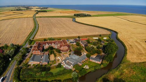 High angle view of agricultural field