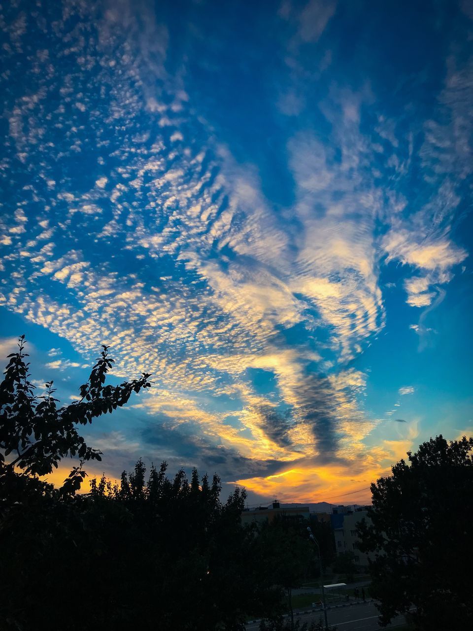 LOW ANGLE VIEW OF SILHOUETTE TREES AGAINST BLUE SKY