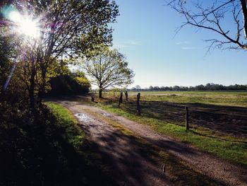 Road amidst trees on field against sky