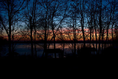 Silhouette trees against sky during sunset