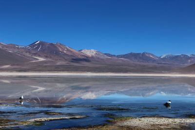 Scenic view of lake and mountains against clear blue sky