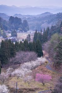 High angle view of trees and mountains against sky