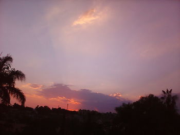 Silhouette trees against sky at sunset