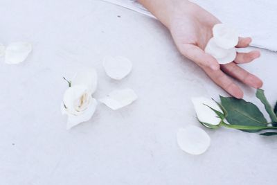 Cropped image of hand with rose petals on table