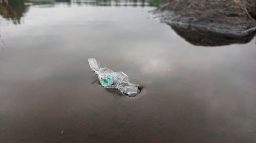 High angle view of toy floating on lake