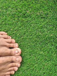 High angle view of human feet on field