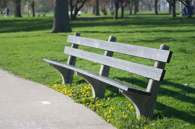 Empty bench in park