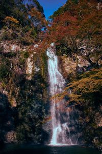 Scenic view of waterfall in forest