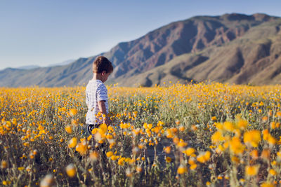 Rear view of person on yellow flowers on field