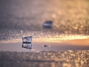 Close-up of frozen water on land against sky