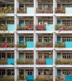 Ecological buildings facade with plans and flower