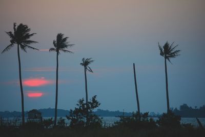 Silhouette palm trees against sky during sunset