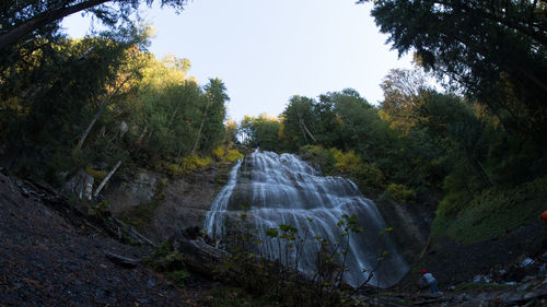 Scenic view of waterfall in forest against sky