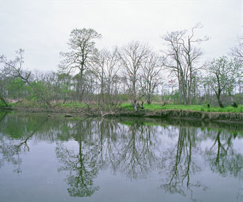 Reflection of trees in lake against sky