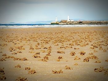 Scenic view of beach against sky