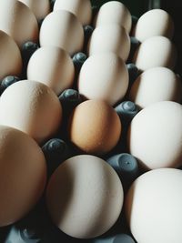 High angle view of eggs in crate