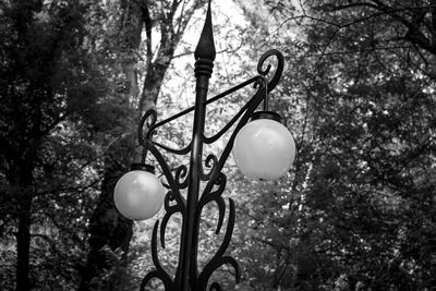 Low angle view of electric lamp hanging on tree