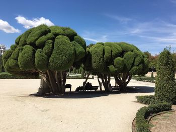 Scenic view of trees and plants against sky