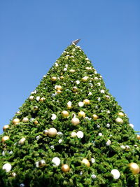 Low angle view of christmas tree against clear sky