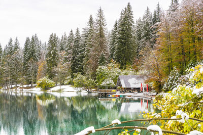 Scenic view of lake in forest