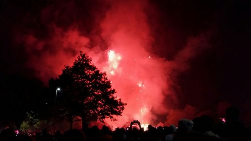 Low angle view of firework display at night