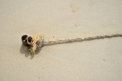 High angle view of rope tied to bollard on wet sand