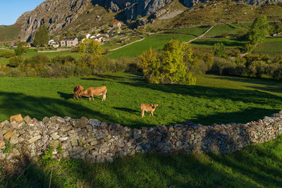 View of the town of valle de lago in the somiedo natural park in asturias 