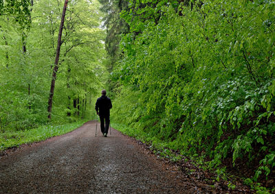 Rear view of man walking on road in forest