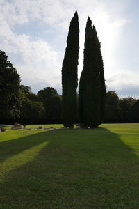 Trees on field against sky