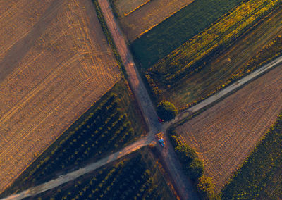 High angle view of agricultural field