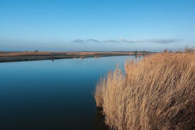 Scenic view of lake against clear sky