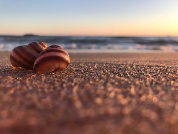 Surface level of beach against sky during sunset