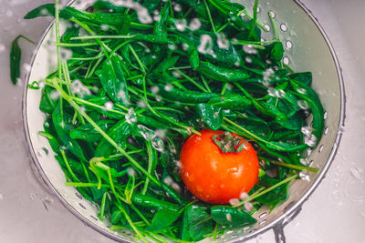 High angle view of salad in plate